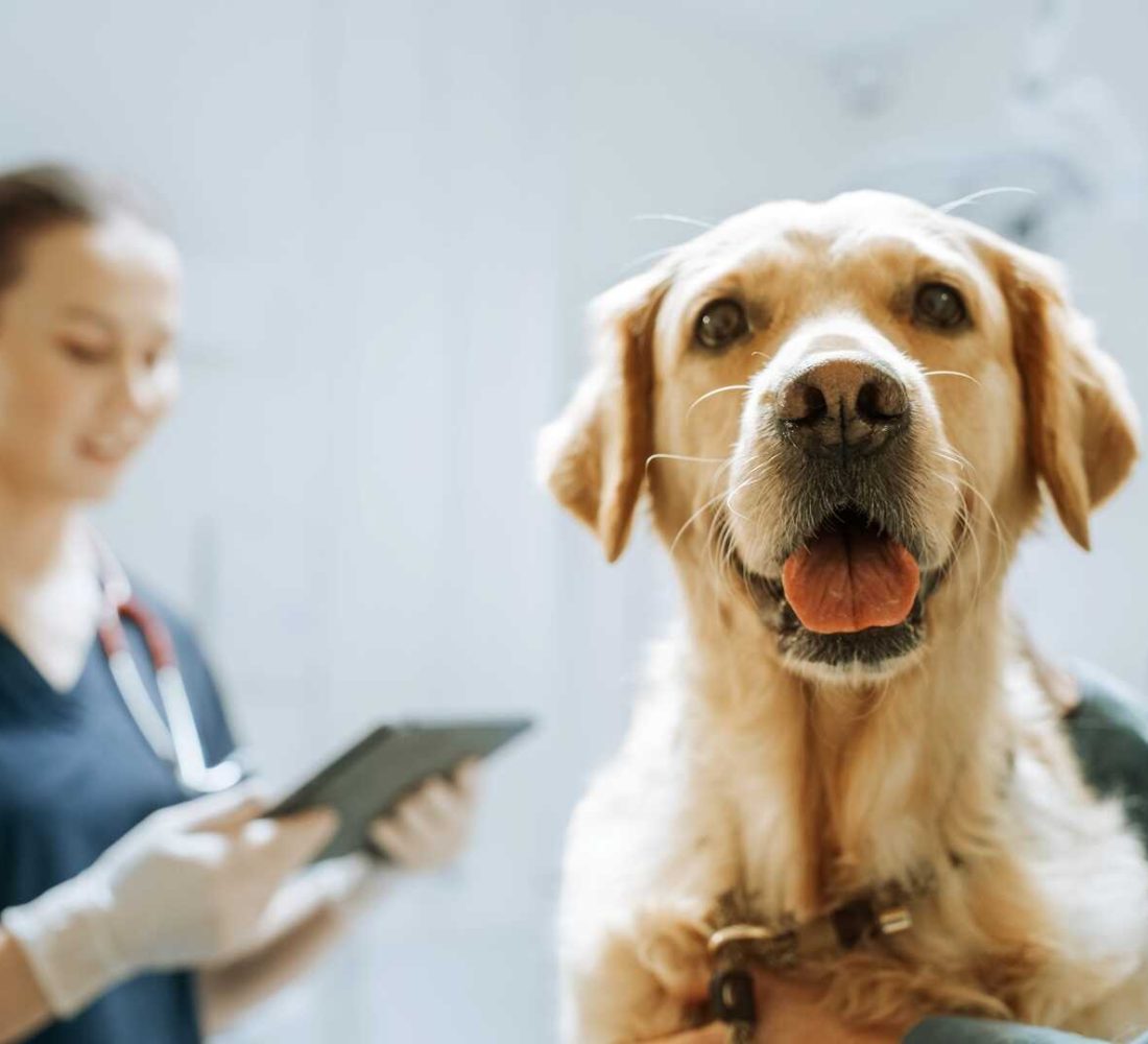 shutterstock_2285054293_optimized shutterstock_2285054293_optimized