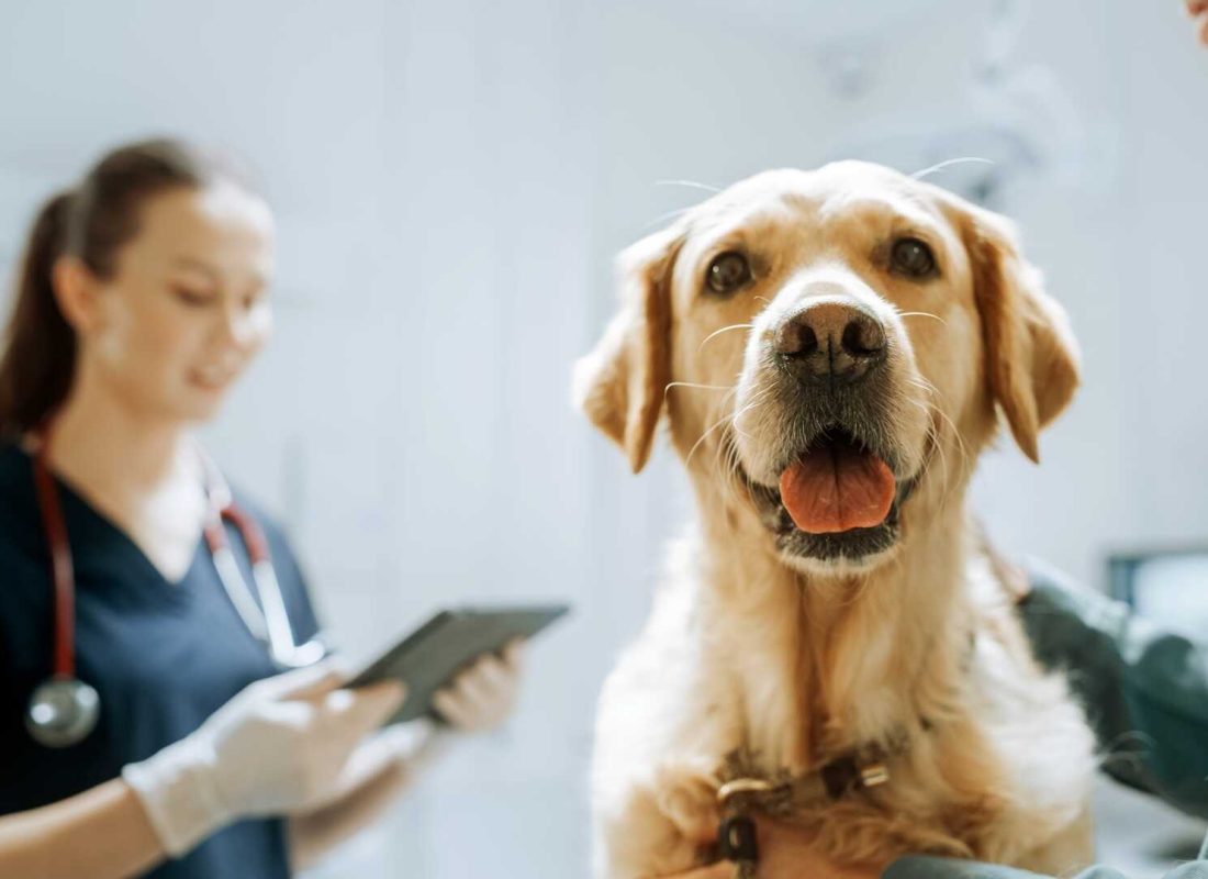 shutterstock_2285054293_optimized shutterstock_2285054293_optimized