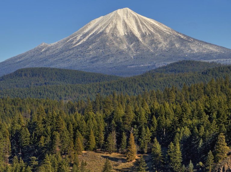 European Sumo Championships U14, U16, U18 postponed